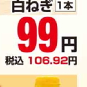 ながねぎ