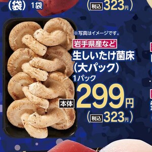 しいたけ