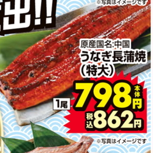 うなぎの蒲焼き