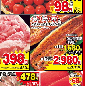 うなぎの蒲焼き