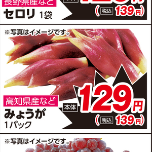 みょうが