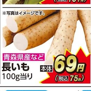 ながいも