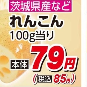 レンコン