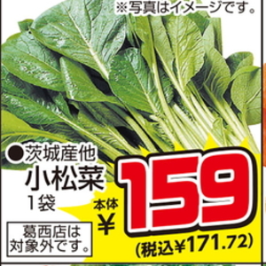 こまつ菜