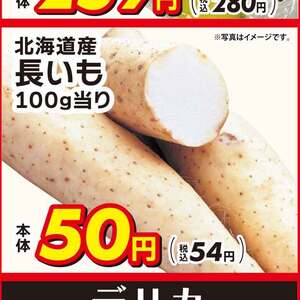 ながいも