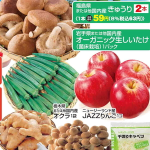 しいたけ