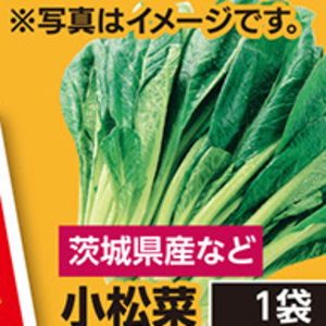 こまつ菜