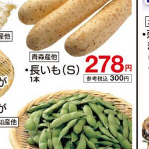 みょうが