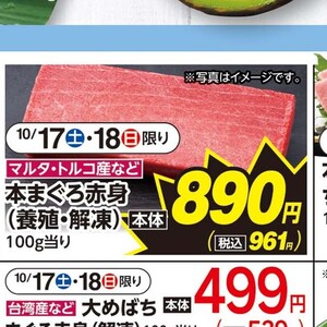 まぐろ赤身