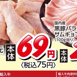 鶏手羽元