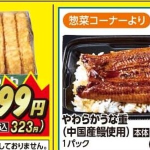 うなぎの蒲焼き
