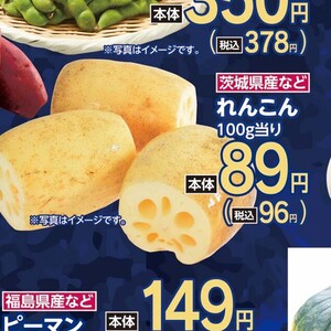 レンコン