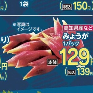 みょうが