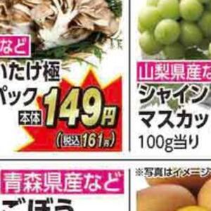 まいたけ