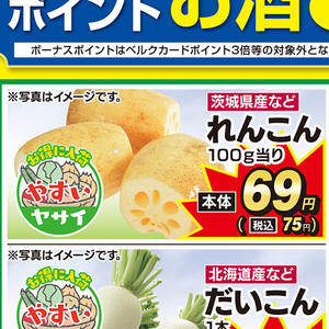 レンコン