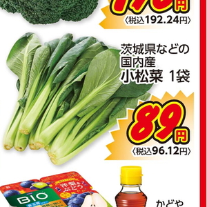 こまつ菜
