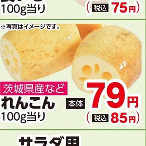 レンコン