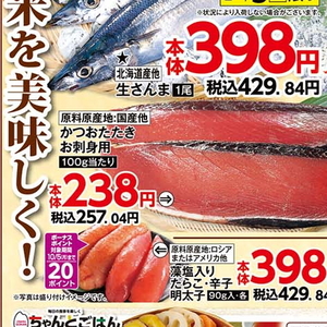 かつお（たたき）