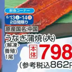 うなぎの蒲焼き