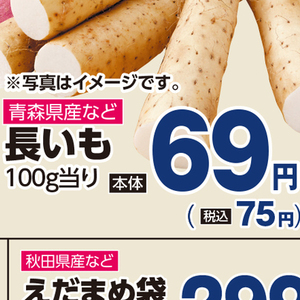 ながいも
