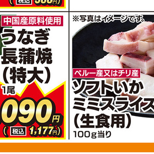 うなぎの蒲焼き