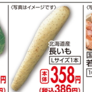 ながいも