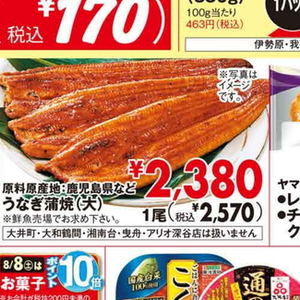 うなぎの蒲焼き