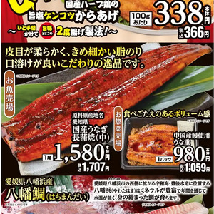 うなぎの蒲焼き