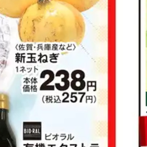 新たまねぎ
