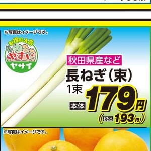 ながねぎ