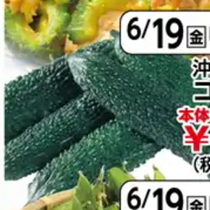 ゴーヤ