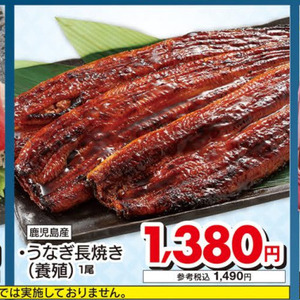 うなぎの蒲焼き