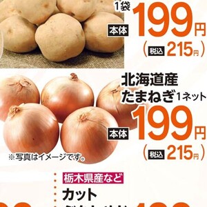 たまねぎ