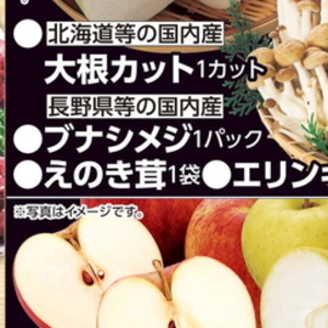 エリンギ