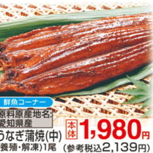 うなぎの蒲焼き