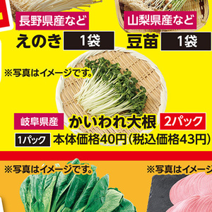 カイワレ大根