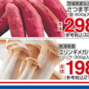 エリンギ