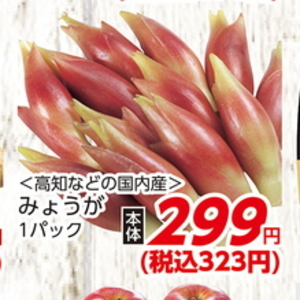みょうが