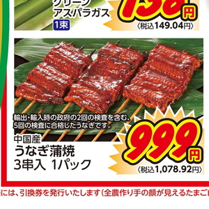 うなぎの蒲焼き