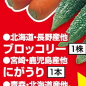 ブロッコリー