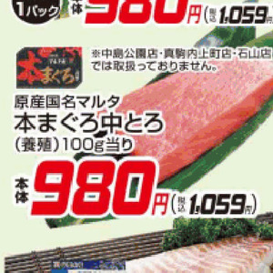 まぐろ中とろ