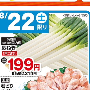 ながねぎ