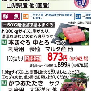 まぐろ中とろ