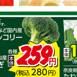 ブロッコリー
