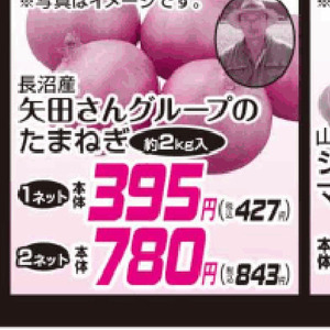 たまねぎ