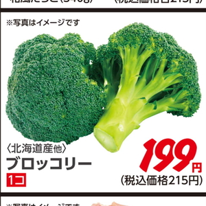 ブロッコリー