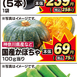 かぼちゃ