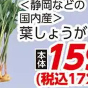 葉生姜