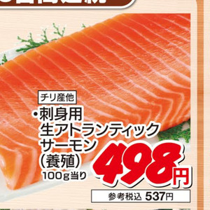 サーモン（刺身）