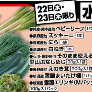 ながねぎ